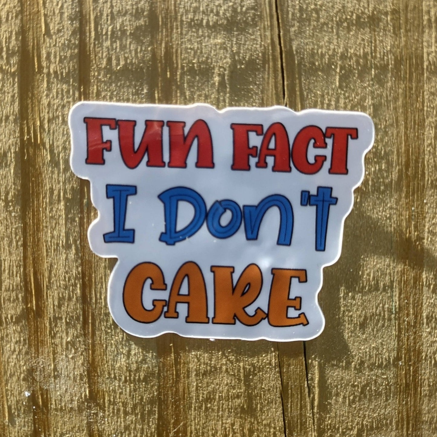 Fun Fact: I Don’t Care Vinyl Sticker – Waterproof Sassy Introvert Gift
